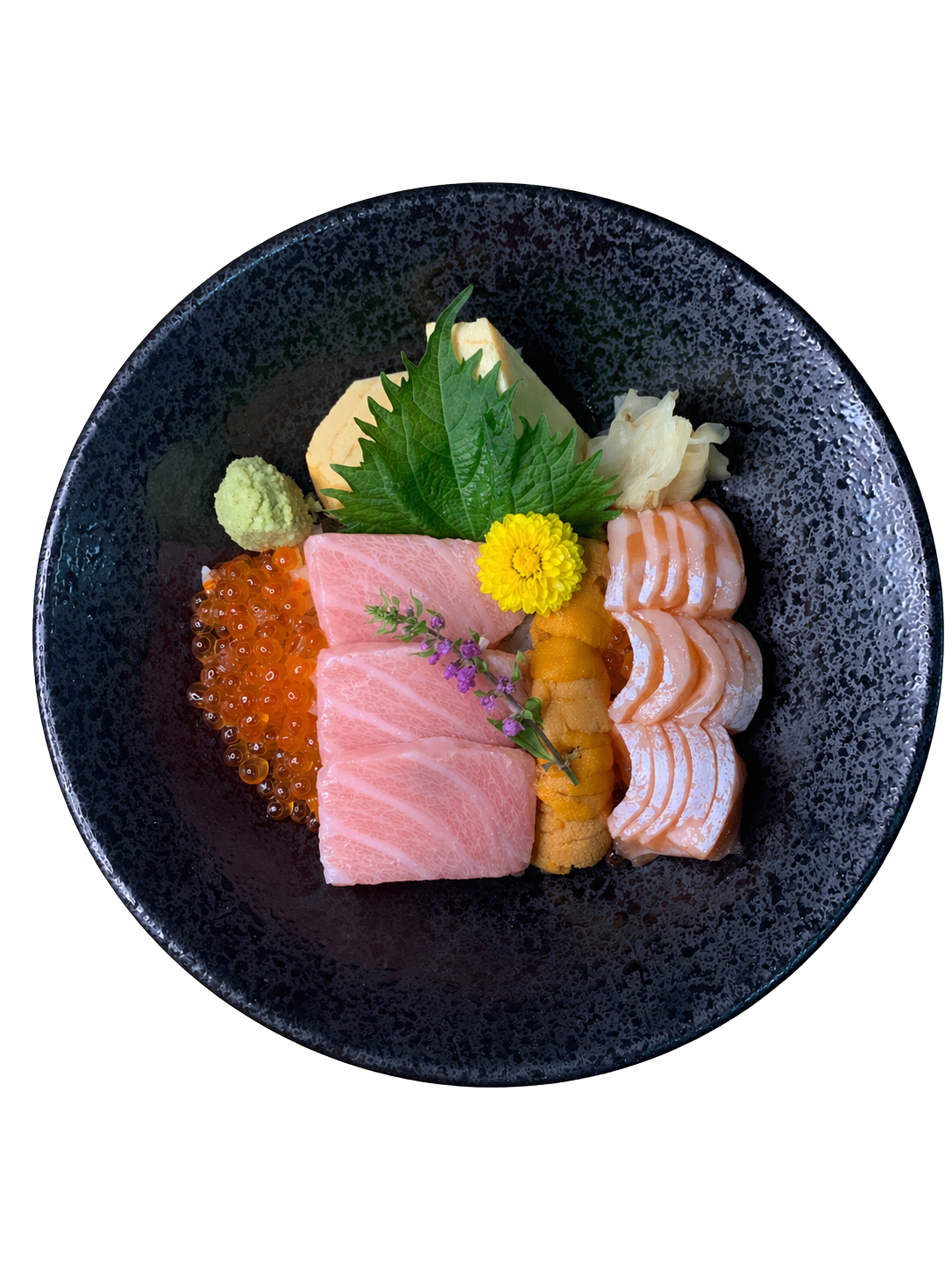 Uni Toro Don